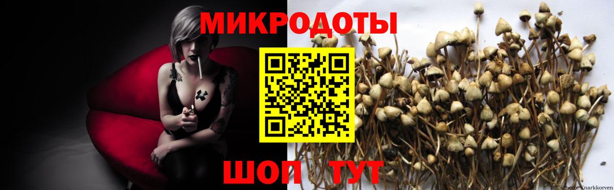 Псилоцибиновые грибы мухоморы  Вход с VPN  Ртищево  Галлюциногенные грибы MAGIC MUSHROOMS 